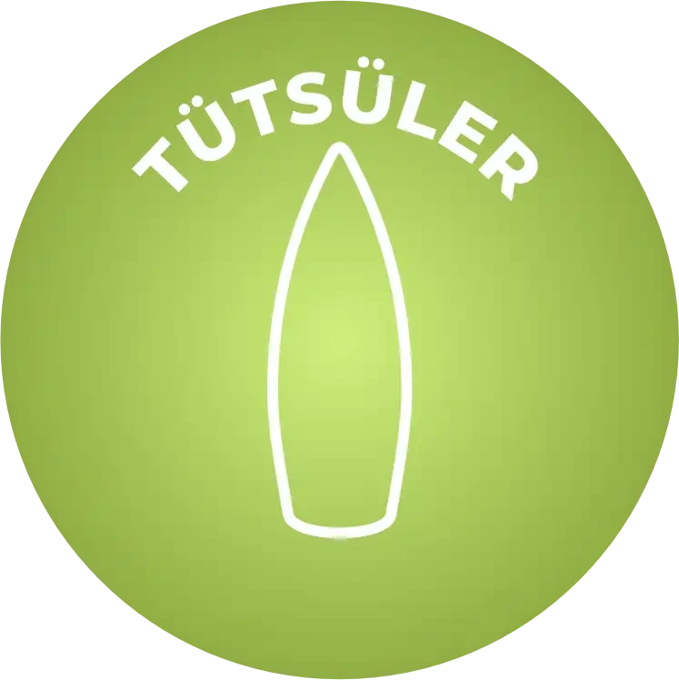 Tütsüler