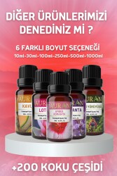 Afrodizyak Esansiyel Uçucu Koku Yağı Ortam Kokusu Doğal Yağ Sihirli Küre Hobi Esansı 100ml - 8