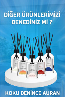 Amber Breeze Çubuklu Oda Kokusu Bambu Kokusu Dekor Reed Diffuser 200ml - 8