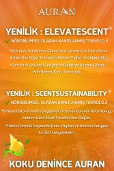 Amber Esansiyel Uçucu Koku Yağı Difüzör Esansı Buhurdanlık Yağı Aromaterapi Yağı 100ml - 6