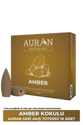 Auran Amber Kokulu Geri Akış Tütsüsü konik Tütsü Amber Backflow Incense Cones 10 Adet - 1