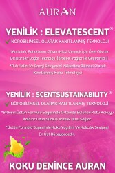 Amber Romantik Esansiyel Uçucu Koku Yağı Difüzör Esansı Buhurdanlık Yağı Aromaterapi Yağı 30ml - 6