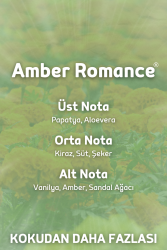 Auran Amber Romantik Yedek Çubuklu Oda Ve Ortam Kokusu Esansı Yedek Dolum Şişe Amber Romantic 250ml - 2