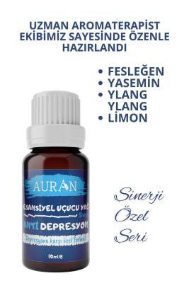 Anti Sinerji Esansiyel Uçucu Koku Yağı Ortam Kokusu Doğal Yağ Sihirli Küre Hobi Esansı 10ml - 2