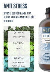 Anti Stress Esansiyel Uçucu Koku Yağı Difüzör Esansı Buhurdanlık Yağı Aromaterapi Yağı 100ml - 2