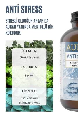 Anti Stress Esansiyel Uçucu Koku Yağı Difüzör Esansı Buhurdanlık Yağı Aromaterapi Yağı 100ml - 2