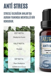 Anti Stress Esansiyel Uçucu Koku Yağı Difüzör Esansı Buhurdanlık Yağı Aromaterapi Yağı 10ml - 2