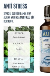 Anti Stress Esansiyel Uçucu Koku Yağı Difüzör Esansı Buhurdanlık Yağı Aromaterapi Yağı 30ml - 2