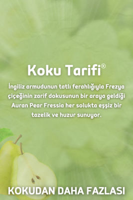 Auran Armut & Frezya Yedek Çubuklu Oda Ve Ortam Kokusu Esansı Yedek Dolum Pear Fressia 500ml - 2