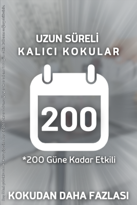 Auran Armut & Frezya Yedek Çubuklu Oda Ve Ortam Kokusu Esansı Yedek Dolum Pear Fressia 500ml - 5