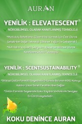 Bahar Esintisi Esansiyel Uçucu Koku Yağı Difüzör Esansı Buhurdanlık Yağı Aromaterapi Yağı 30ml - 5