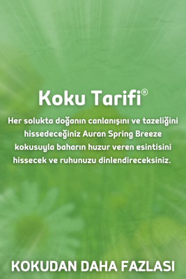 Auran Bahar Esintisi Yedek Çubuklu Oda Ve Ortam Kokusu Esansı Yedek Dolum Şişe Spring Breeze 500ml - 2