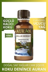 Bolluk Bereket Esansiyel Uçucu Koku Yağı Ortam Kokusu Doğal Yağ Sihirli Küre Hobi Esansı 30ml - 1