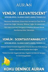 Bolluk Enerjisi Esansiyel Uçucu Koku Yağı Ortam Kokusu Doğal Yağ Sihirli Küre Hobi Esansı 10ml - 6