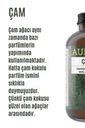 Çam Esansiyel Uçucu Koku Yağı Difüzör Esansı Buhurdanlık Yağı Aromaterapi Yağı 100ml - 2