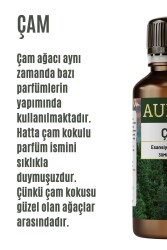 Çam Esansiyel Uçucu Koku Yağı Ortam Kokusu Doğal Yağ Sihirli Küre Hobi Esansı 30ml - 2