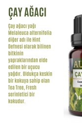 Çay Ağacı Esansiyel Uçucu Koku Yağı Ortam Kokusu Doğal Yağ Sihirli Küre Hobi Esansı 10ml - 2