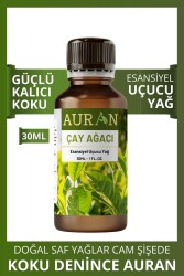 Çay Ağacı Esansiyel Uçucu Koku Yağı Ortam Kokusu Doğal Yağ Sihirli Küre Hobi Esansı 30ml - 1