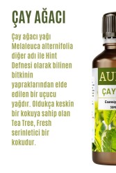 Çay Ağacı Esansiyel Uçucu Koku Yağı Ortam Kokusu Doğal Yağ Sihirli Küre Hobi Esansı 30ml - 2