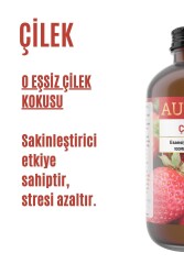 Çilek Esansiyel Uçucu Koku Yağı Difüzör Esansı Buhurdanlık Yağı Aromaterapi Yağı 100ml - 2