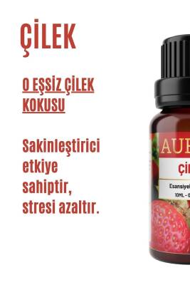 Çilek Esansiyel Uçucu Koku Yağı Ortam Kokusu Doğal Yağ Sihirli Küre Hobi Esansı 10ml - 2