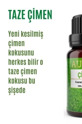 Çimen Esansiyel Uçucu Koku Yağı Ortam Kokusu Doğal Yağ Sihirli Küre Hobi Esansı 10ml - 2