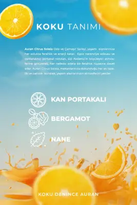 Citrus Soleia Parfümlü Oda ve Çamaşır Spreyi Ortam ve Kumaş Kokusu Premium Room Spray 350ml - 4