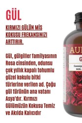 Gül Esansiyel Uçucu Koku Yağı Ortam Kokusu Doğal Yağ Sihirli Küre Hobi Esansı 100ml - 2