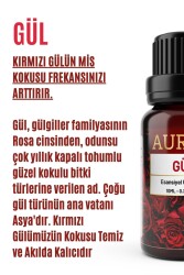 Gül Esansiyel Uçucu Koku Yağı Difüzör Esansı Buhurdanlık Yağı Aromaterapi Yağı 10ml - 2