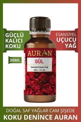 Gül Esansiyel Uçucu Koku Yağı Ortam Kokusu Doğal Yağ Sihirli Küre Hobi Esansı 30ml - 1