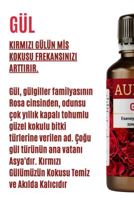 Gül Esansiyel Uçucu Koku Yağı Ortam Kokusu Doğal Yağ Sihirli Küre Hobi Esansı 30ml - 2