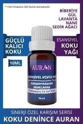 Konsantrasyon Esansiyel Uçucu Koku Yağı Difüzör Esansı Buhurdanlık Yağı Aromaterapi Yağı 10ml - 1