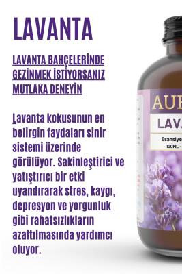 Lavanta Esansiyel Uçucu Koku Yağı Difüzör Esansı Buhurdanlık Yağı Aromaterapi Yağı 100ml - 2