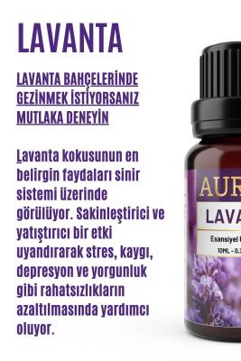 Lavanta Esansiyel Uçucu Koku Yağı Difüzör Esansı Buhurdanlık Yağı Aromaterapi Yağı 10ml - 2