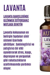 Lavanta Esansiyel Uçucu Koku Yağı Difüzör Esansı Buhurdanlık Yağı Aromaterapi Yağı 30ml - 2