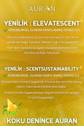 Lilyum Esansiyel Uçucu Koku Yağı Difüzör Esansı Buhurdanlık Yağı Aromaterapi Yağı 10ml - 6