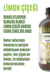 Limon Çiçeği Esansiyel Uçucu Koku Yağı Ortam Kokusu Doğal Yağ Sihirli Küre Hobi Esansı 100ml - 2