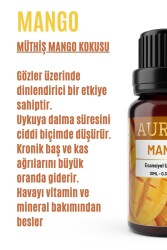 Mango Esansiyel Uçucu Koku Yağı Ortam Kokusu Doğal Yağ Sihirli Küre Hobi Esansı 10ml - 2