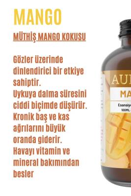 Mango Esansiyel Uçucu Koku Yağı Difüzör Esansı Buhurdanlık Yağı Aromaterapi Yağı 100ml - 2