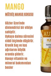 Mango Esansiyel Uçucu Koku Yağı Ortam Kokusu Doğal Yağ Sihirli Küre Hobi Esansı 30ml - 2