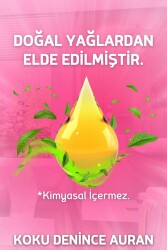 Mango & Karpuz Çubuklu Oda Kokusu Bambu Kokusu Kare Şişe Mango & Watermelon Reed Diffuser 100ml - 2