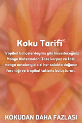 Auran Mango Yedek Çubuklu Oda Ve Ortam Kokusu Esansı Yedek Dolum Şişe Mango 500ml - 2