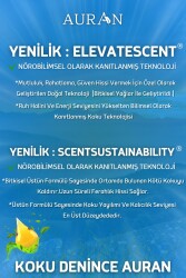 Multi Verimlilik Esansiyel Uçucu Koku Yağı Ortam Kokusu Doğal Yağ Sihirli Küre Hobi Esansı 10ml - 6