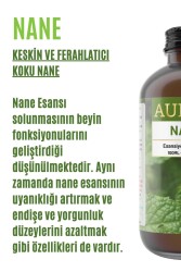 Nane Esansiyel Uçucu Koku Yağı Ortam Kokusu Doğal Yağ Sihirli Küre Hobi Esansı 100ml - 2