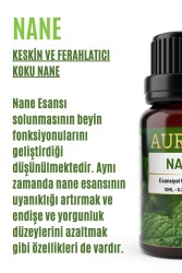 Biberiye Esansiyel Uçucu Koku Yağı Difüzör Esansı Buhurdanlık Yağı Aromaterapi Yağı 10ml - 2