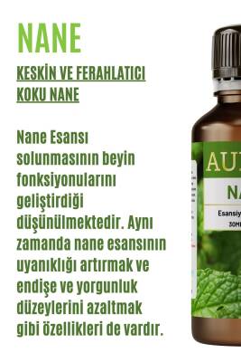 Nane Esansiyel Uçucu Koku Yağı Difüzör Esansı Buhurdanlık Yağı Aromaterapi Yağı 30ml - 2