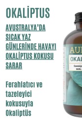 Okaliptus Esansiyel Uçucu Koku Yağı Difüzör Esansı Buhurdanlık Yağı Aromaterapi Yağı 100ml - 2