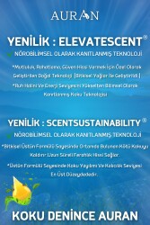 Okaliptus Esansiyel Uçucu Koku Yağı Difüzör Esansı Buhurdanlık Yağı Aromaterapi Yağı 100ml - 6