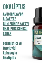 Okaliptus Esansiyel Uçucu Koku Yağı Difüzör Esansı Buhurdanlık Yağı Aromaterapi Yağı 10ml - 2