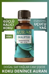 Okaliptus Esansiyel Uçucu Koku Yağı Difüzör Esansı Buhurdanlık Yağı Aromaterapi Yağı 30ml - 1